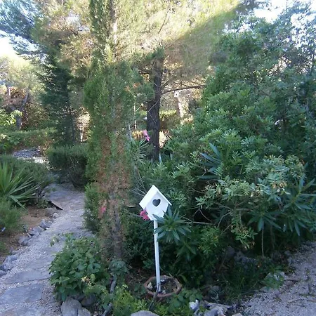 Grbin (adults Only) *