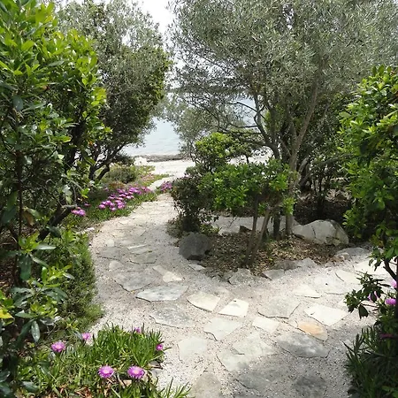 Grbin (adults Only) Lumbarda