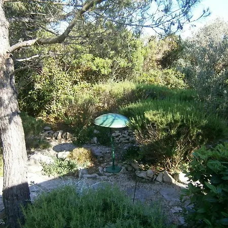 Grbin (adults Only) Lumbarda