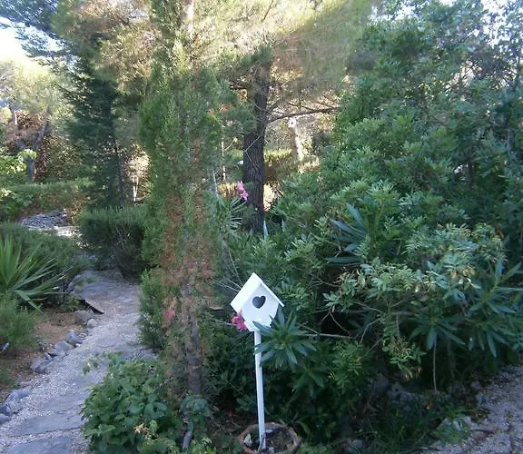 Grbin (adults Only) *