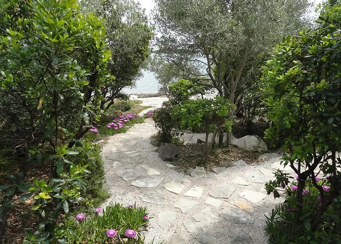 Grbin (adults Only) Lumbarda