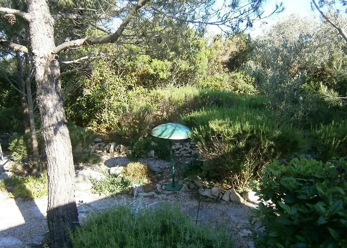 Grbin (adults Only) Lumbarda