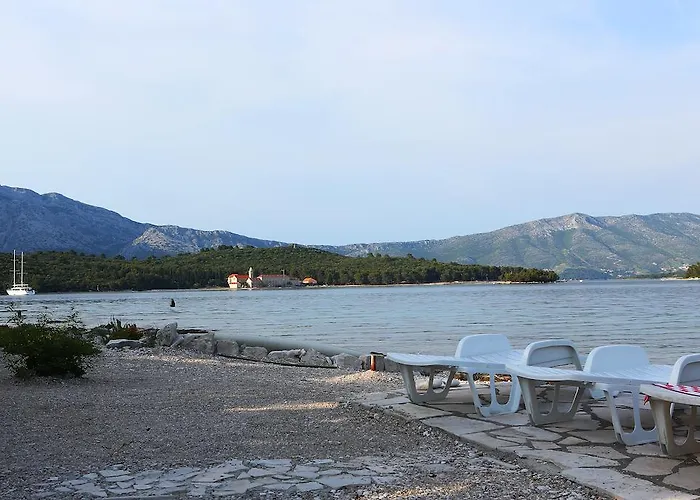 Grbin (adults Only) *